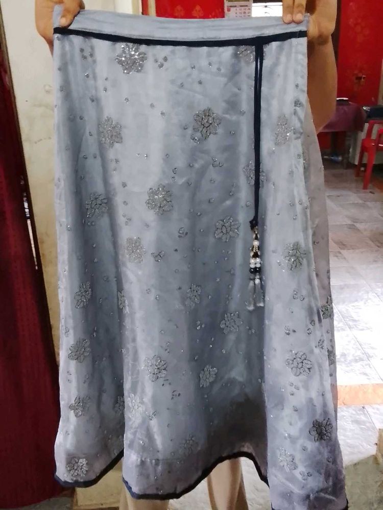 Embellished Ethnic Skirt