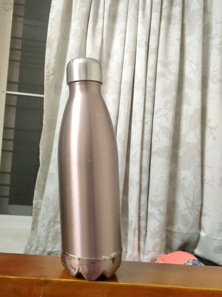 Stainless Steel Bottle