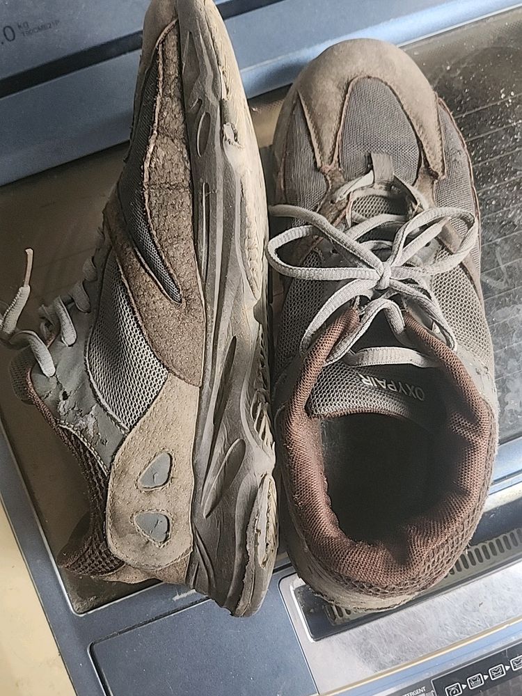 Oxedo Sports Shoes