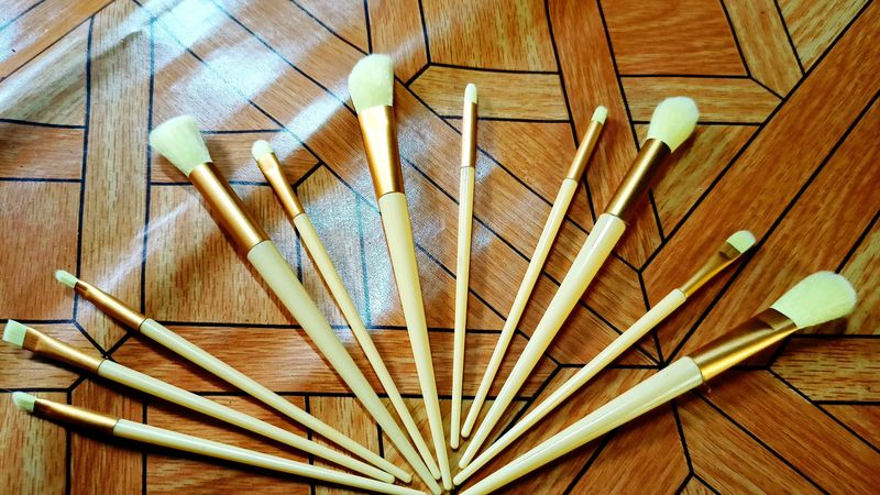 10 Makeup Brushes