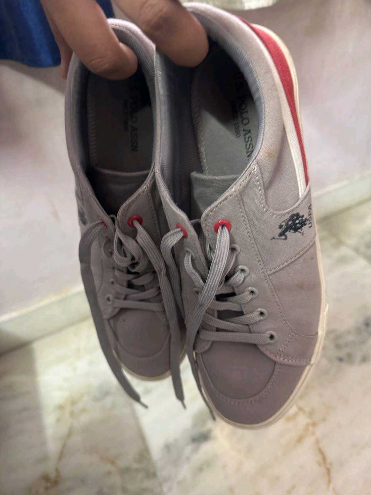 US POLO ASSN grey And Red Shoes