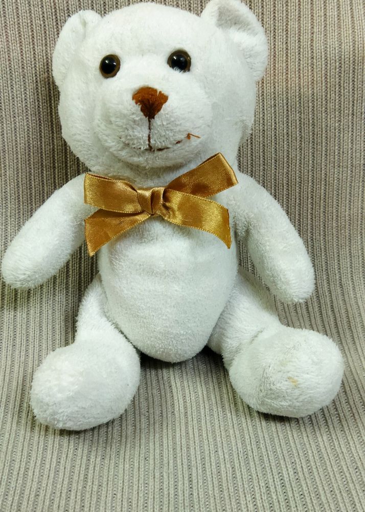 Very Cute White Bear