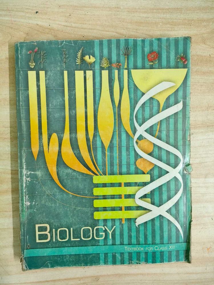 Class 12  Biology Ncert