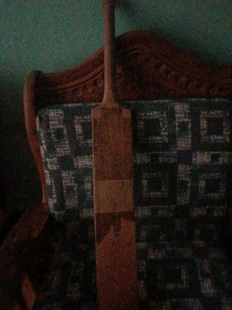 Used Cricket Bat