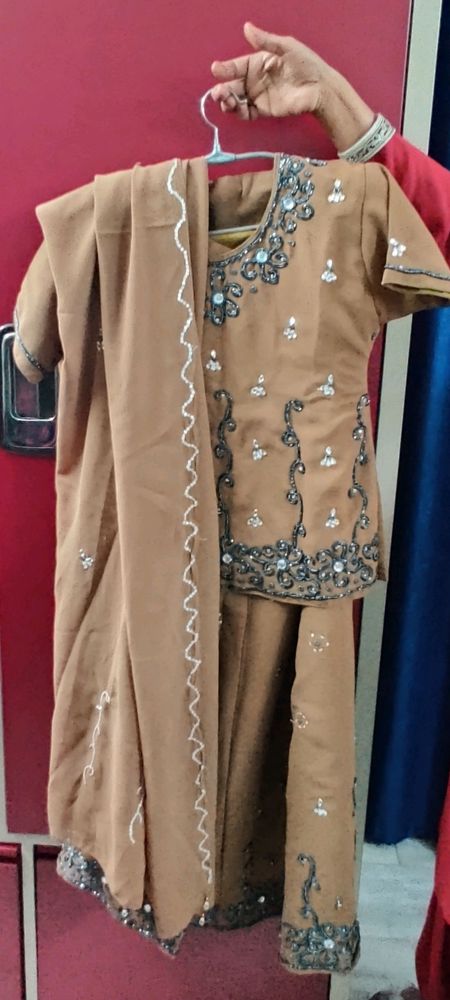 beautiful sequence work lehenga