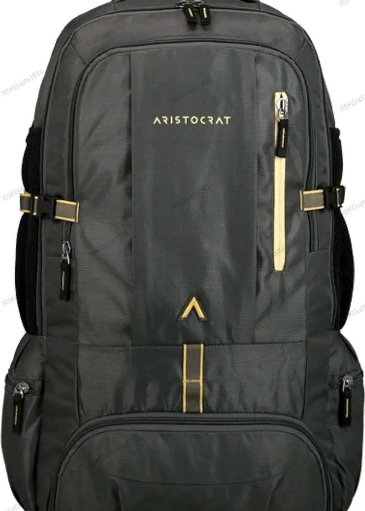 Aristocrat 45 Ltrs Grey Rucksack (RUCHIKEGRY)