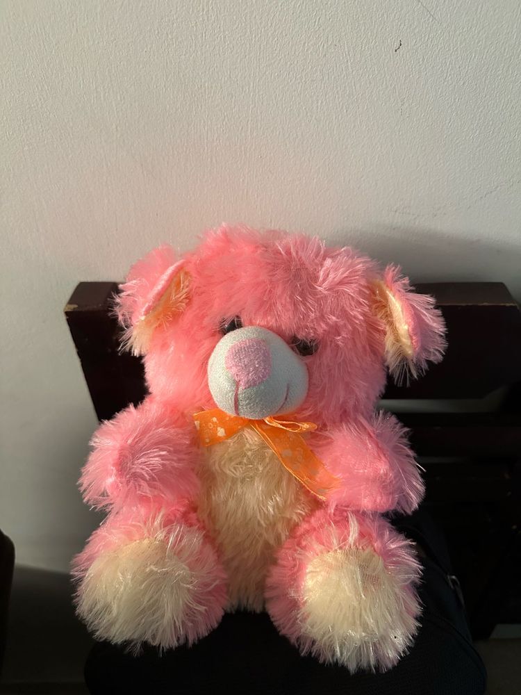 Pink Teddy Bear