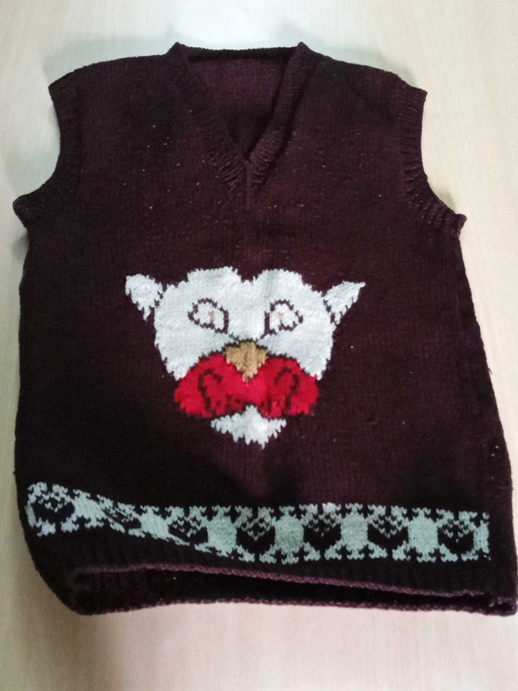Cute Knitted Vest