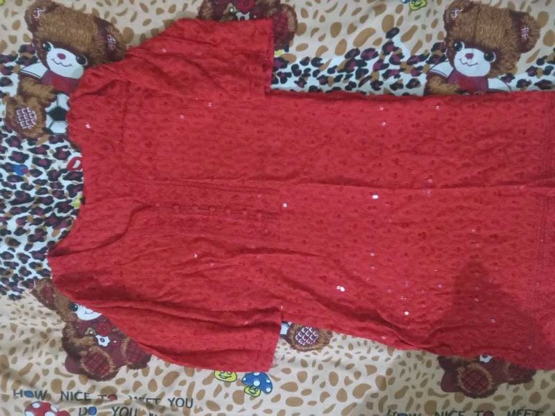 Beautiful Chickenkari Kurta For Women