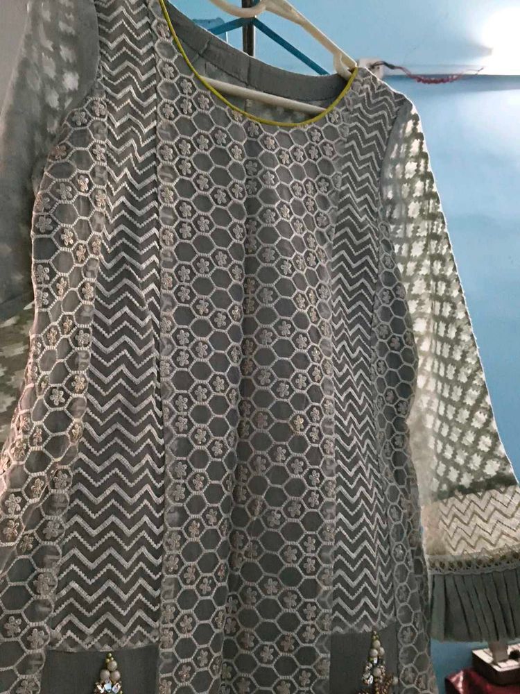 Pure Organza Pakistani Grey Suit