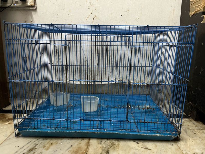 Cage Big Size