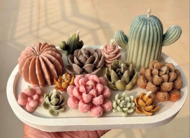 Cactus &amp; Succulent Candles