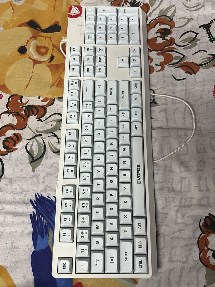 EvoFox Deathray RGB Gaming Keyboard