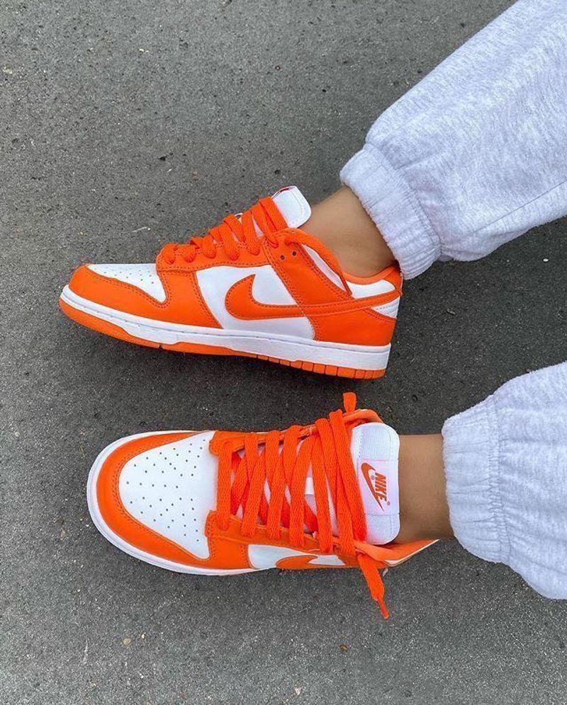 Nike Sb Dunk Low