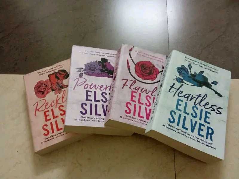 Chestnut Springs Series By Elsie Silver 4 Books