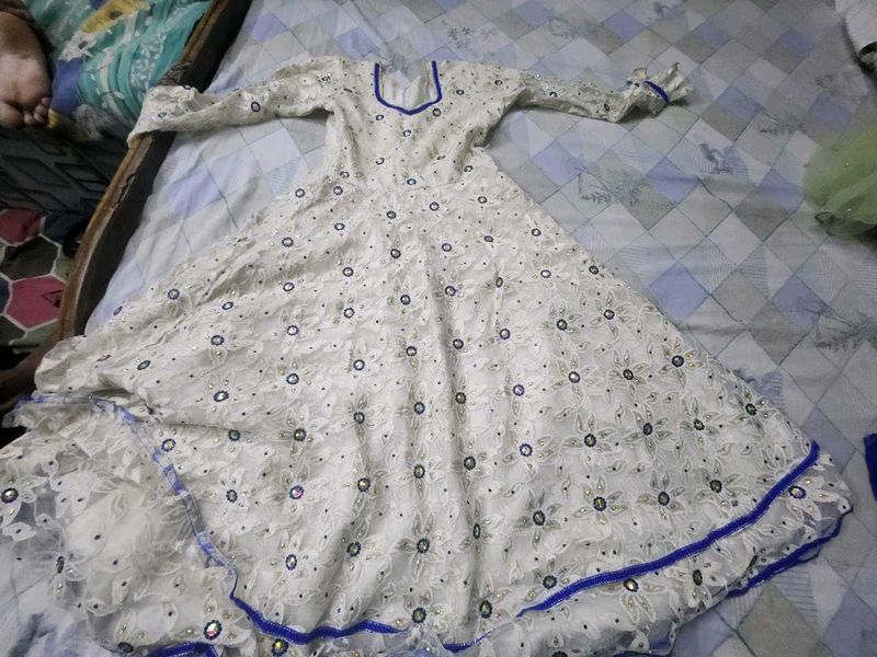 Elegant Ethnic Gown
