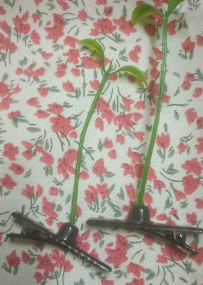 A Sprout Hair Clip