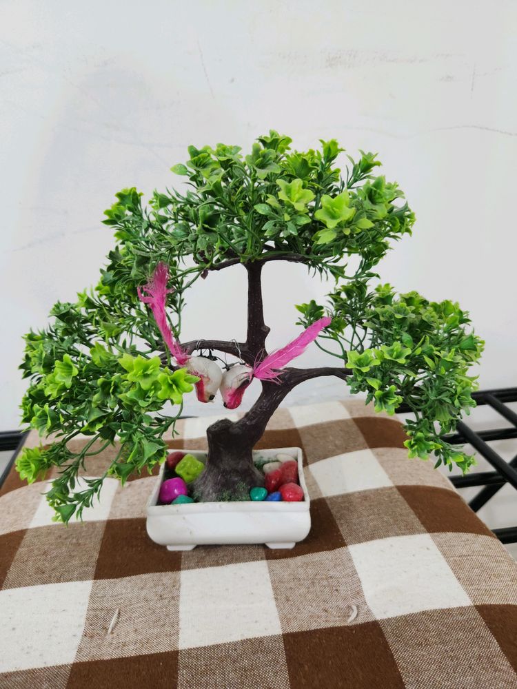 Bonsai Tree - Decoration Plant