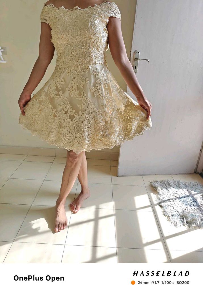 Lace Vintage Dress