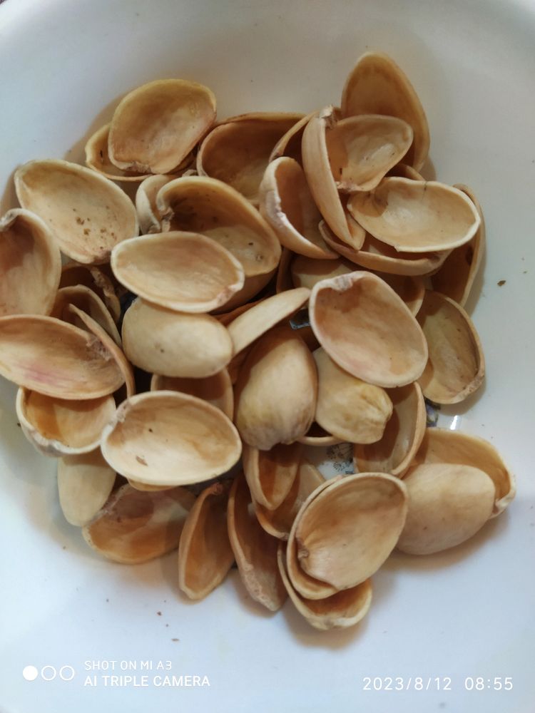 50pices Of Pista Cover