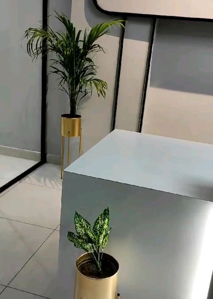 Beautiful Indoor And Outdoor 3 Pcs Set Planter