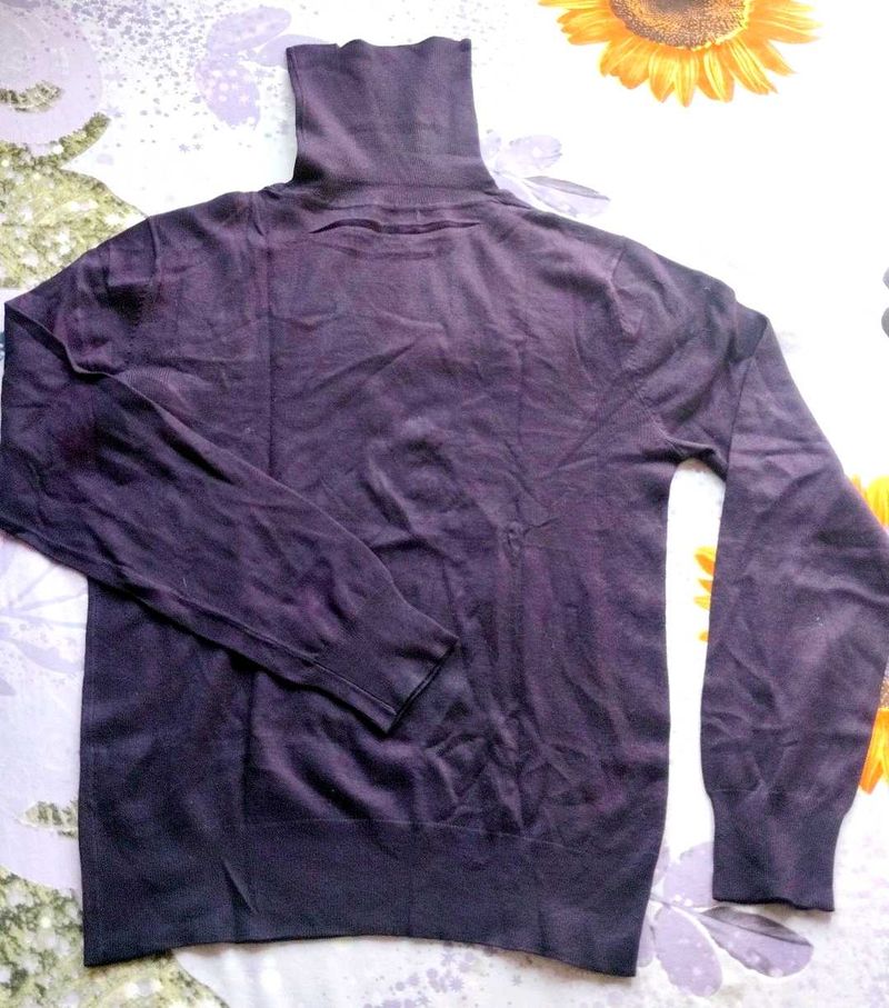 Purple Turtleneck T shirt.