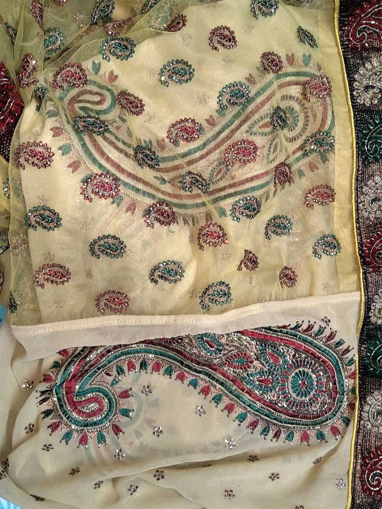 Heavy Wedding/Party/Festive Saree