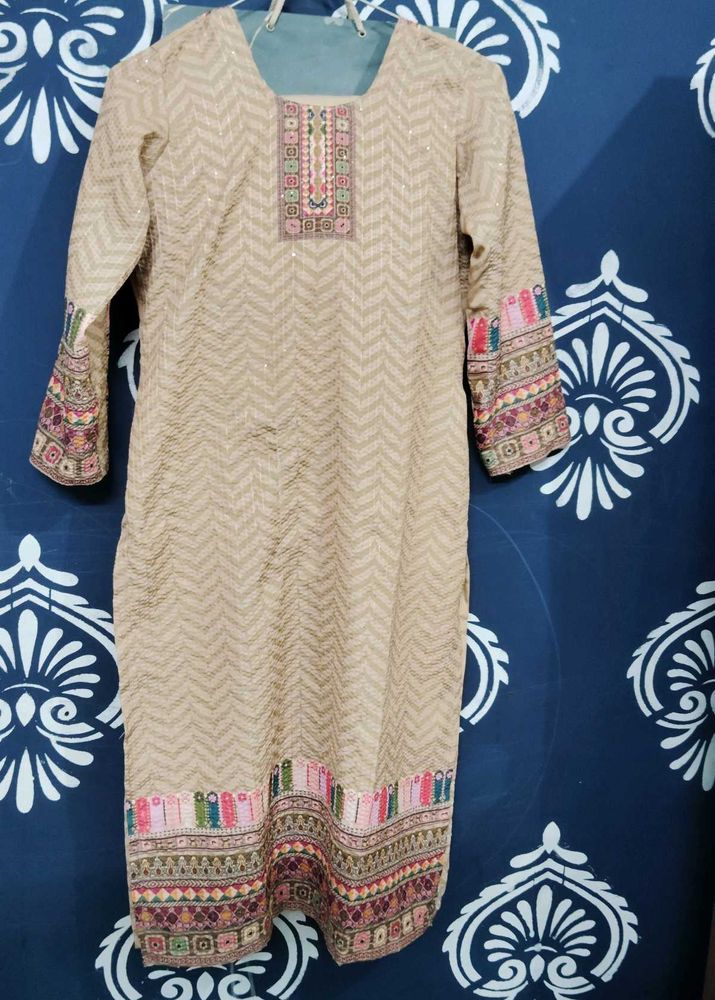 Elegant Pakistani suit