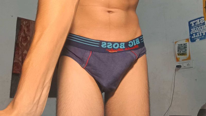 Big Boss Briefs