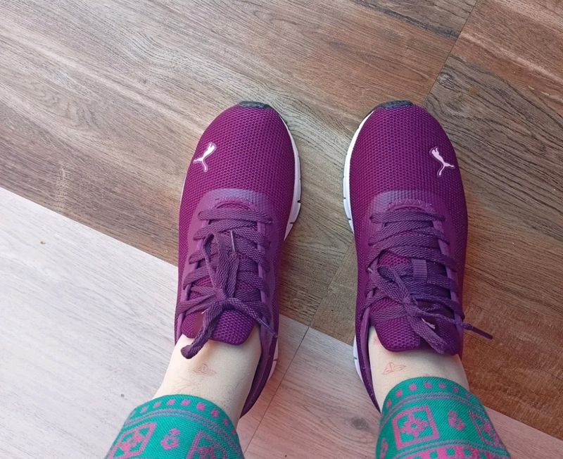 PUMA Hustle V2 Wns Running Shoes For Women(Purple)