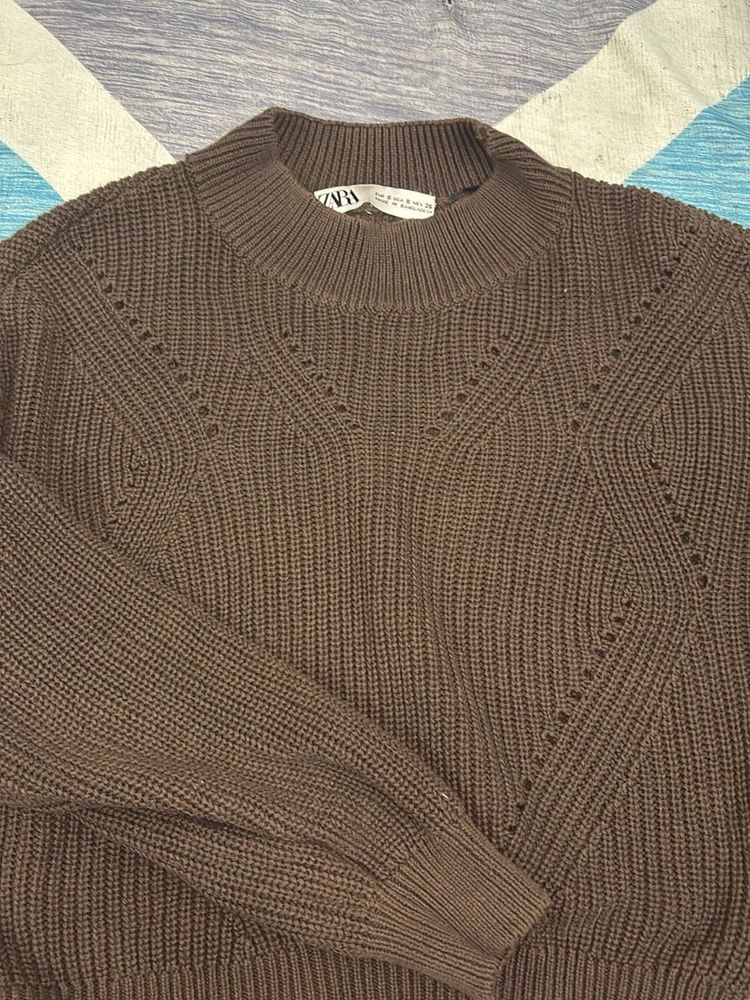 Zara Brown Knit Sweater