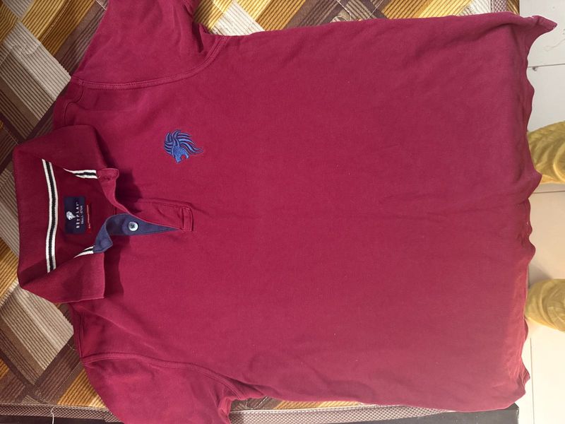 Netplay Burgundy Polo Shirt