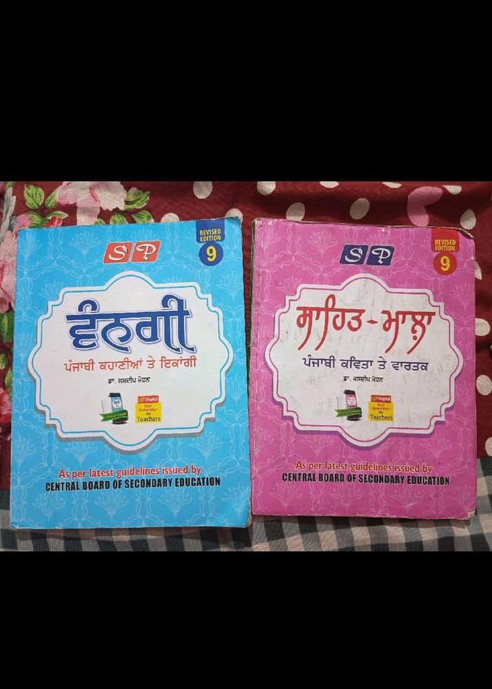 Class 9th Punjabi Books