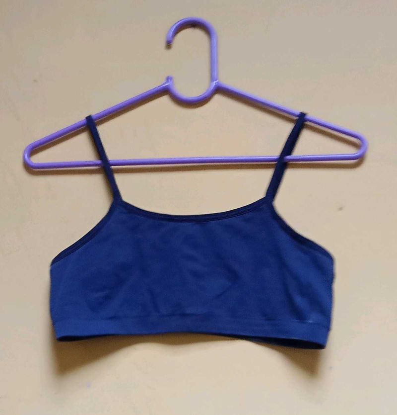 Blue Bra