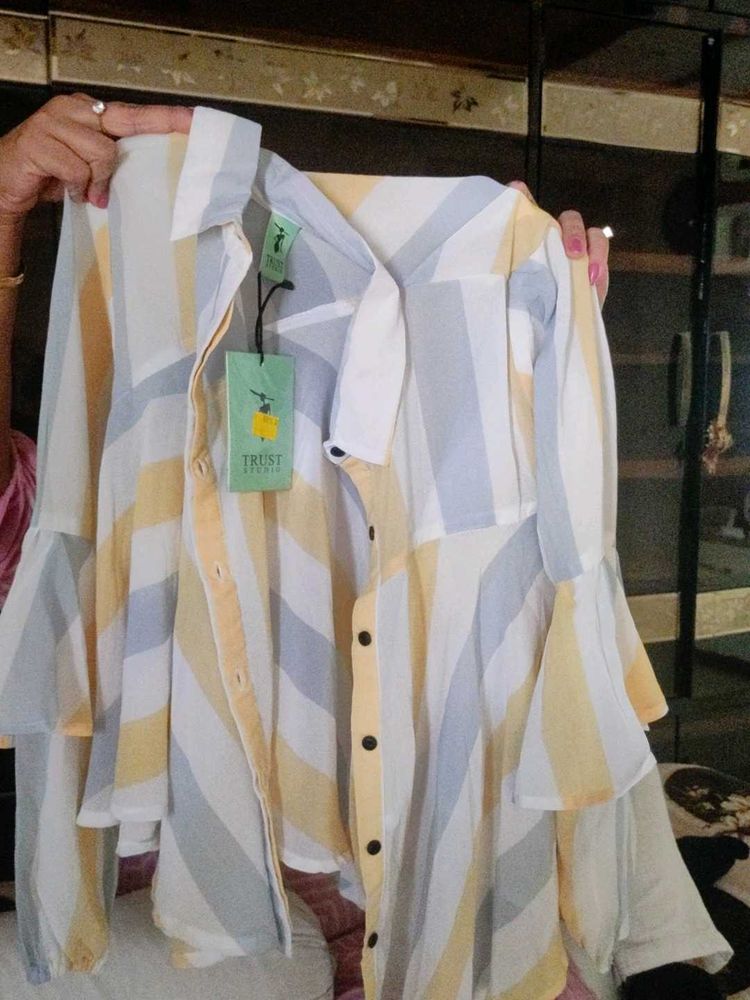 Striped Flared Sleeve Blouse