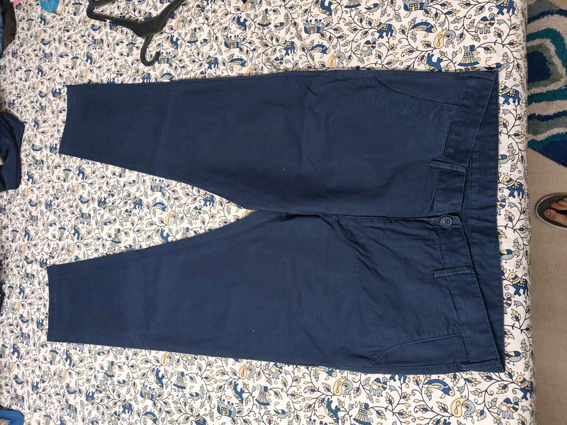 Nav Blue Peter England Pants