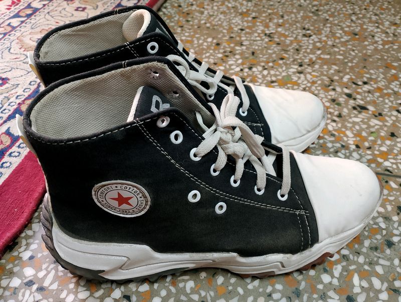 Brand New Shoes