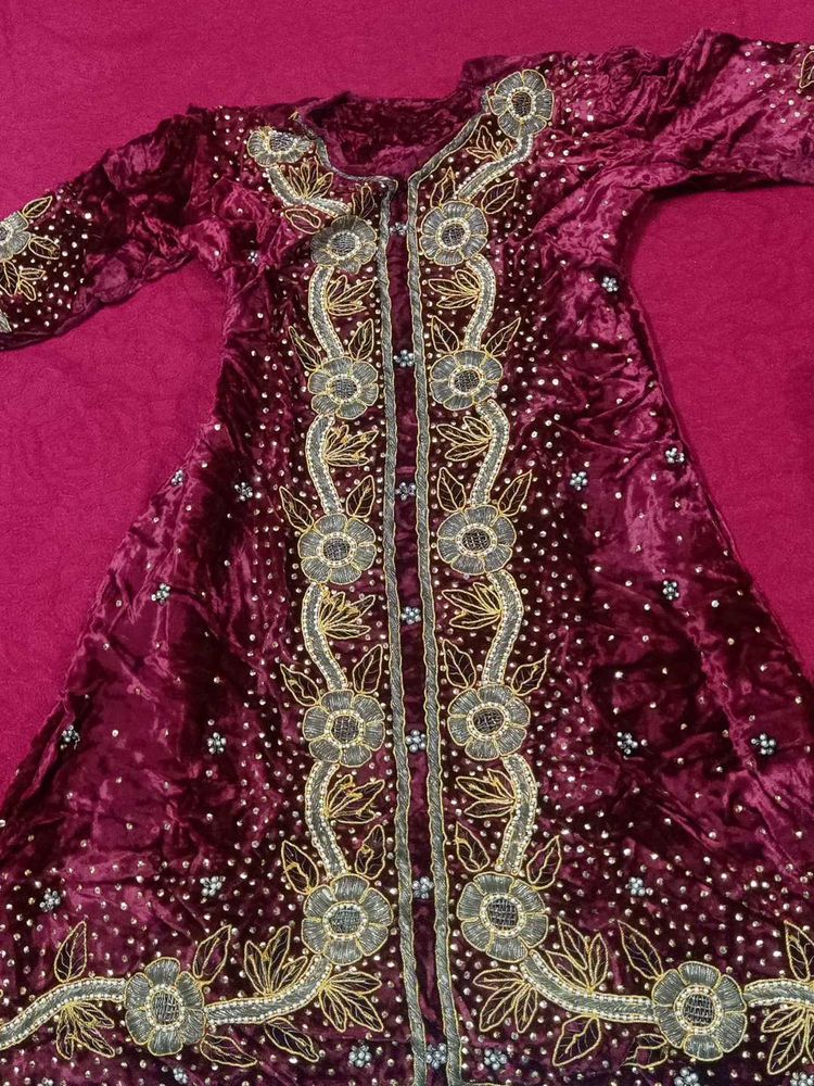Party Ware Punjabi Velvet Suit