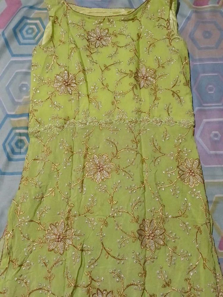 Lime Green Embroidered Dress