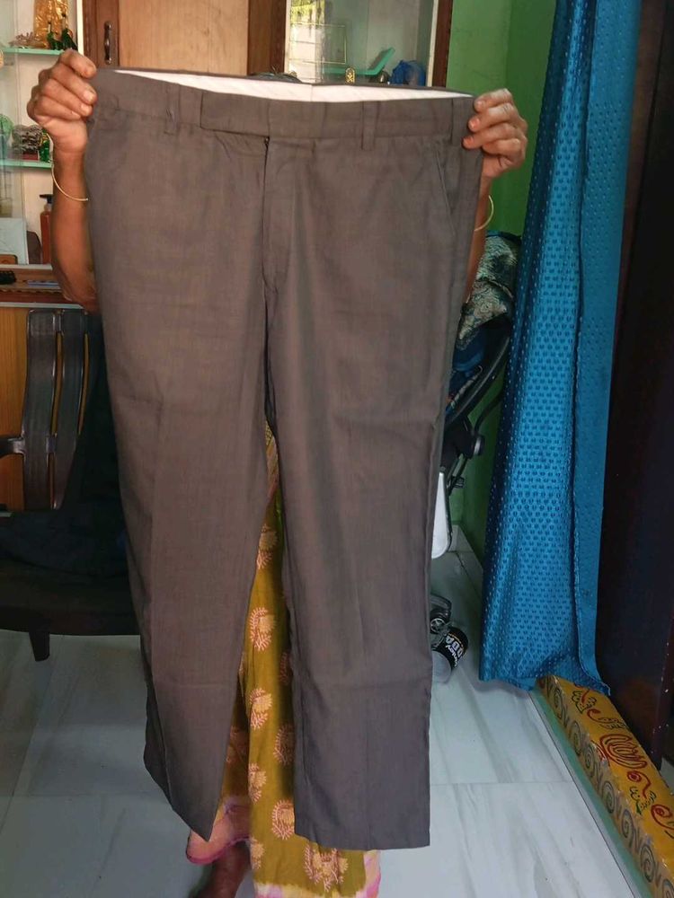 Grey Shade Causal Pant