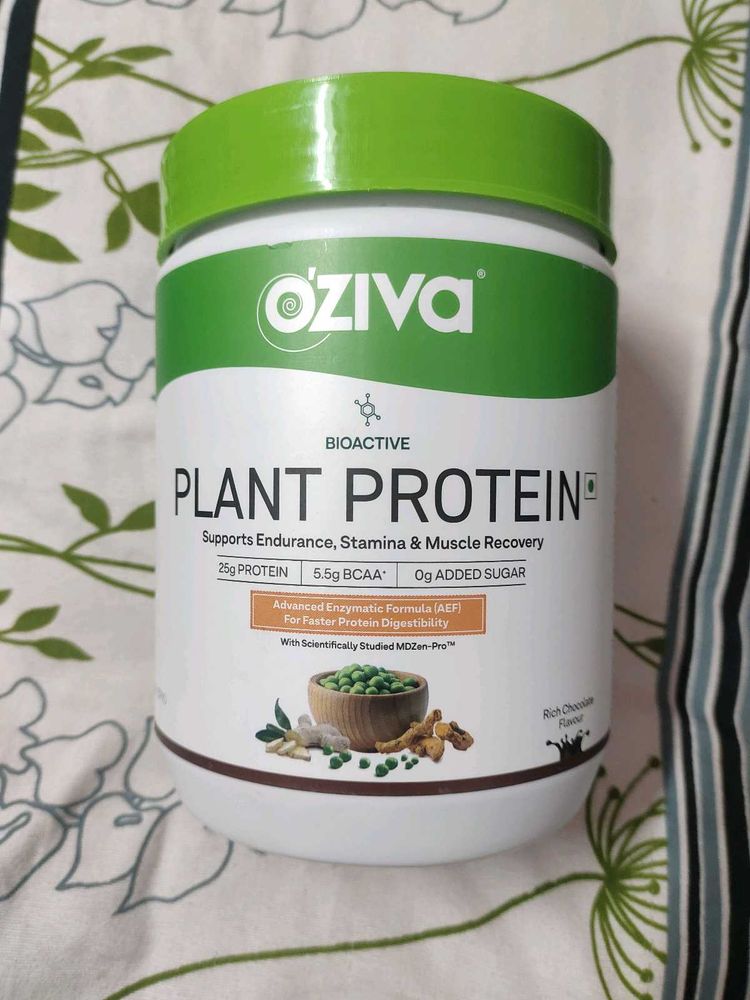 Plant protein