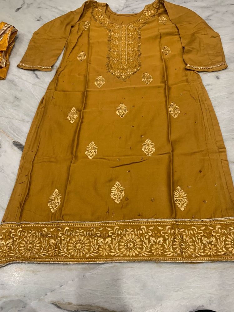 Beautiful Embellished Suit