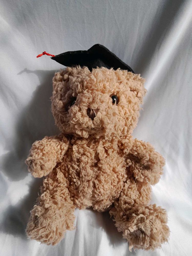Graduation Teddy Bear Gift