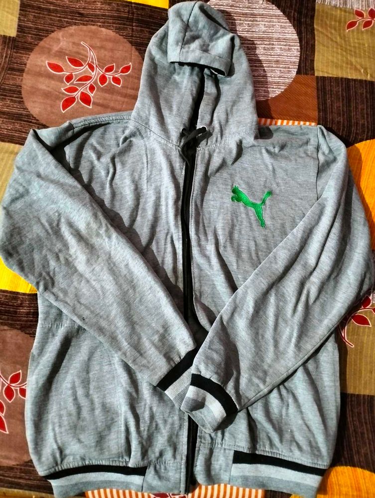 Puma Grey Hoodie