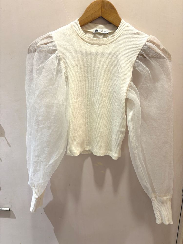 Zara Knit Top with Sheer Sleeves