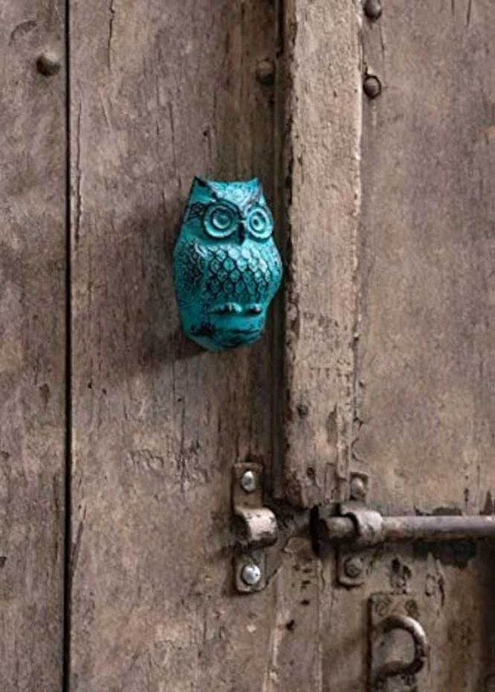 Antique Owl Door Knocker