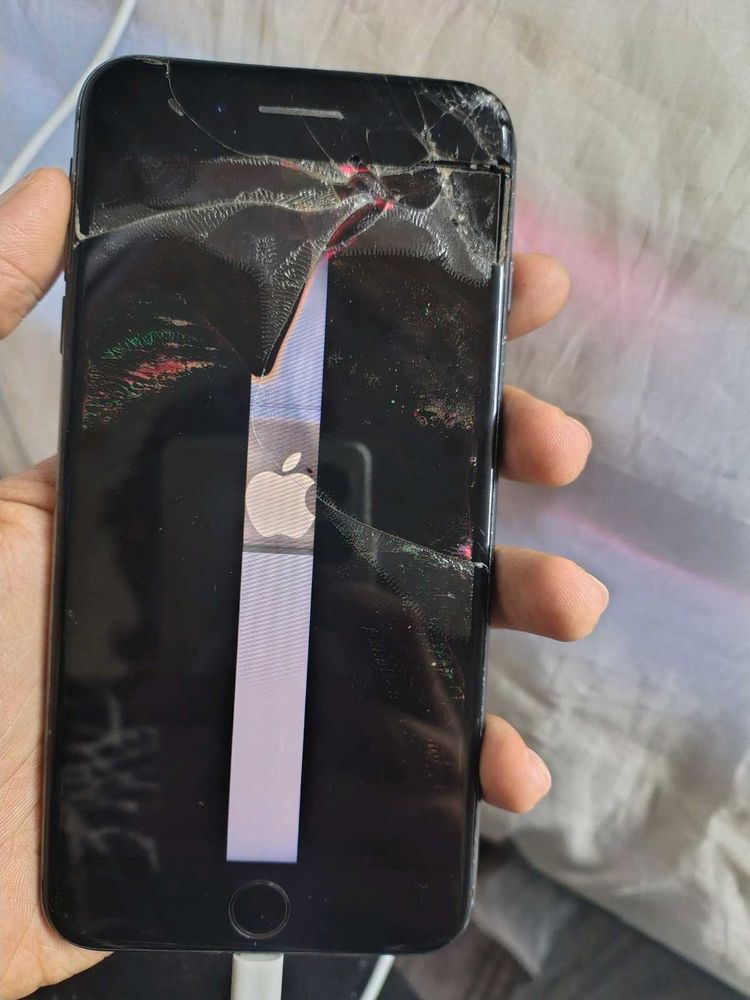 8 Plus 256