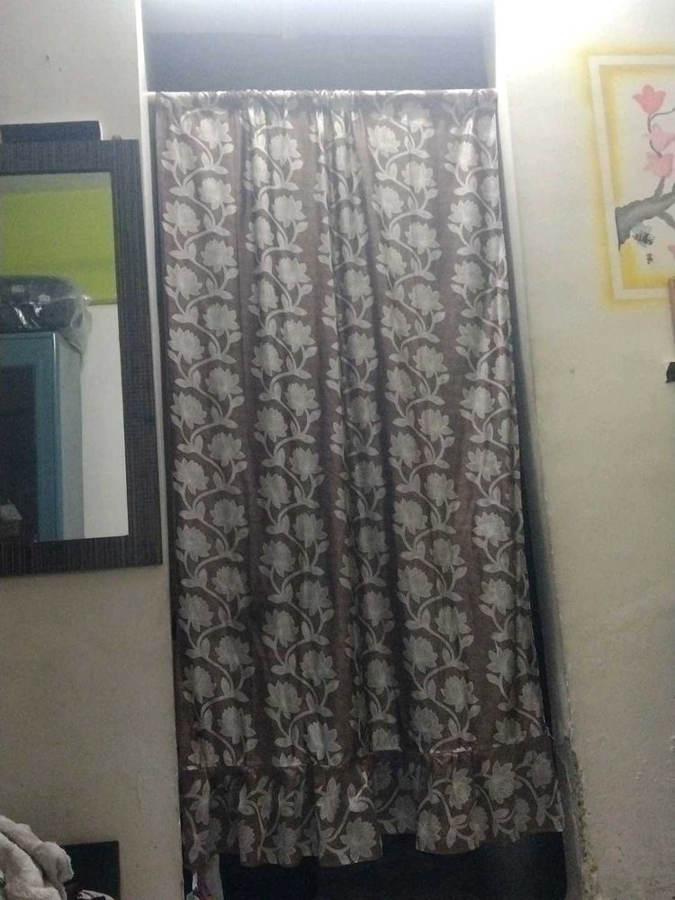 Curtain