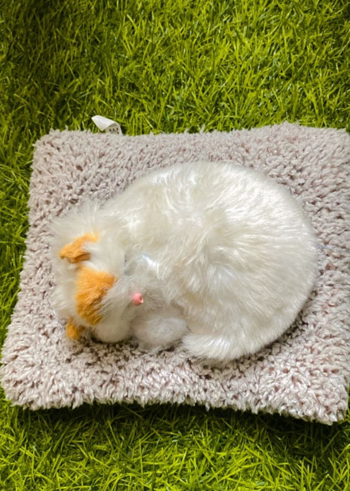 Cat Soft Toy