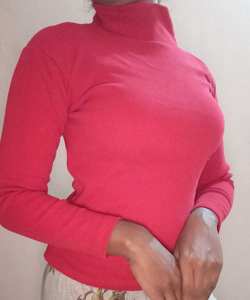 Turtle Neck Top